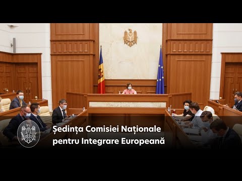 Comisia Națională pentru Integrare Europeană are nouă membri noi