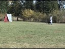 Ollie\