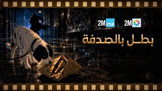 سرقو كأس العالم وسط لندن وما لقاوهاش حتى جاء كلب | مونديال ستوريز