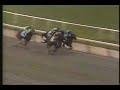 Colonial Affair Belmont Stakes 1993 - Prairie Bayou\ Colonial Affair Belmont Stakes 1993 - Prairie Bayou\