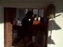 flip flip