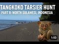 Tangkoko Tarsier Hunt Part II:  North Sulawesi, Indonesia