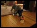 Thistle and the Christmas Goose