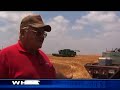 Will Oklahoma have a wheat harvest this year?