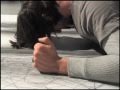 ORRICO / Penwald: 5: wrists on walk / Penwald: 6: project, recoil