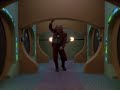 Ancapia Ferengi