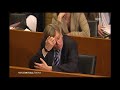 Manfred Sohn im niedersächsischen Landtag am 27. 02. 08 II Manfred Sohn im niedersächsischen Landtag am 27. 02. 08 II