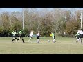 Halley's Goal