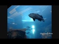 Monterey Bay Aquarium 2007 degicank.com