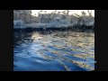 monterey-bay-aquarium-2007-degicankcom.html