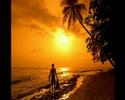 Muri - Summer Makes Me Sing (Summersong)