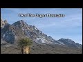 Organs.mov