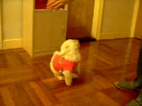 See video