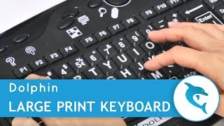 Meet the Dolphin Large Print Keyboard