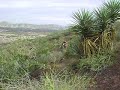 MOV04316.AVI