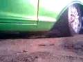 videos de el grillo saliendo del lubricentro del SPF
