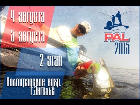 пал чемпионат прямая трансляция рыбалка пал чемпионат прямая трансляция рыбалка
