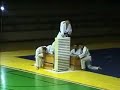 large master Kang (tameshiwara) large master Kang (tameshiwara)
