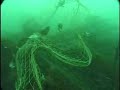 Derelict Fishing Gear - San Juan