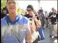 17 de agosto Fiesta de la Capitalidad