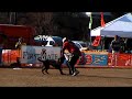 2007/11/25 AWI 9th Heat (BUDDY)