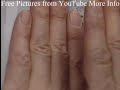 Chinese Painting Flower Birds (Part 9/3000) + Professor 金鴻鈞 Works