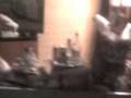 videos de kakashi and his secret shopping XD