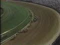 1988 Kentucky Derby - Winning Colors