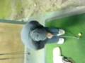 aaron midget.3gp