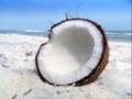 Gabriel Ananda Coconut Blues Official Music Video and Lyrics