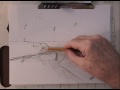 Beginning Art Drawing 101 Get Started!