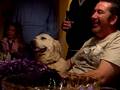 videos de Meg the Dog