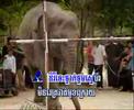 elephant thnom snear
