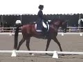 Syncro & Noyes Yr. PSG 2008