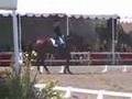 Syncro & Noyes Yr. PSG 2008