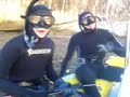 chasse en mer de gros bar et congre chasse en mer de gros bar et congre