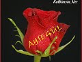 a-k-m-ay-eg-l
