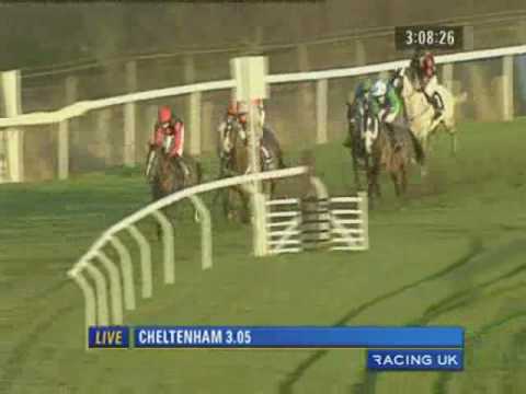 paddy power cheltenham