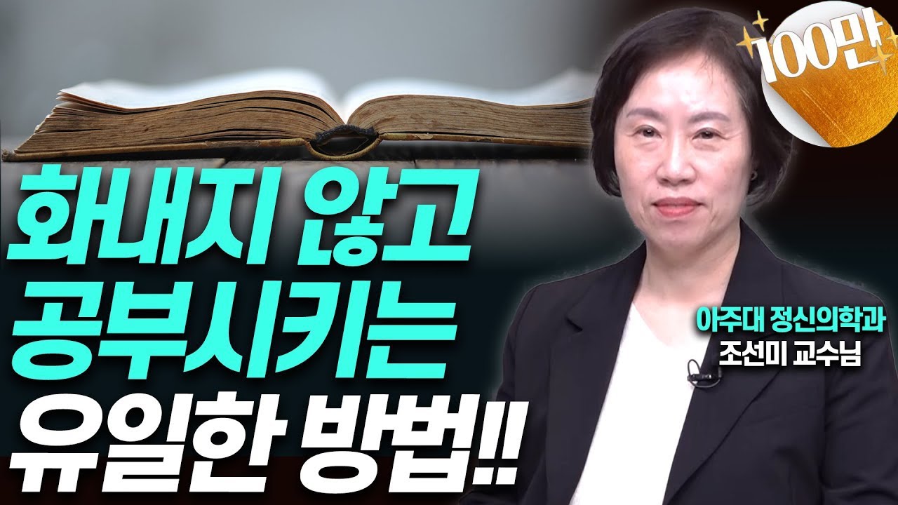 공부동기?공부의지?아이 공부시키는 방법은 '이것'!!(조선미교수)[대기자상담]