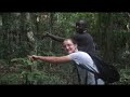 Western Lowland Gorilla Safari Congo 2008 Western Lowland Gorilla Safari Congo 2008