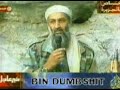Bin laden