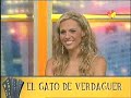 el gato de verdaguer terrible