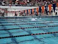 Binghamton University Men's Swimming 200 Fly @ Bucknell Invi