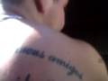 videos de suave na nave
