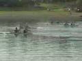 YouTube - Rowing National Trials