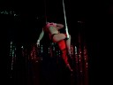 Pole Kat Trapeze at Rayn Pole Kat Trapeze at Rayn