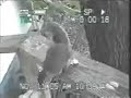 смишно