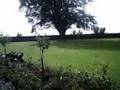 My Trip To Scotland Part 2