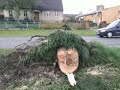 Wichura i burza w Sulechowie 