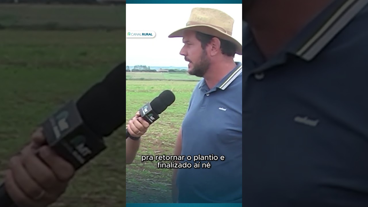 Soja | Clima adverso atrasa os trabalhos no campo em MT